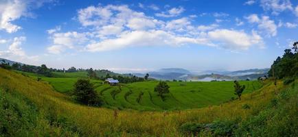 campo de arroz em terraço verde panorama em ban pa bong peay em chiangmai, tailândia foto
