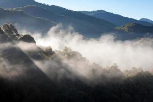 plantação de chá da manhã enevoada no doi ang khang, chiang mai, tailândia foto