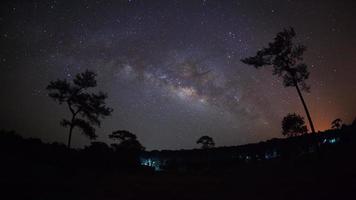 silhueta de árvore e bela via láctea em um céu noturno. fotografia de longa exposição. foto
