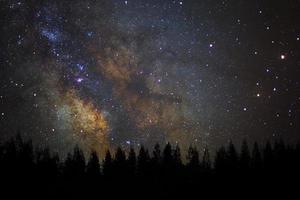 bela via láctea e silhueta de pinheiro em um céu noturno. foto