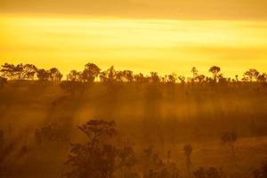 manhã nublada ao nascer do sol na montanha no parque nacional thung salang luang phetchabun, Tailândia foto