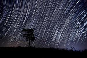 as estrelas noite de startails sobre a árvore foto