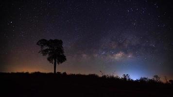 silhueta de árvore e bela via láctea em um céu noturno foto