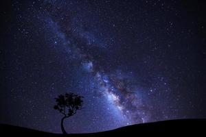 silhueta de paisagem de árvore com galáxia via láctea e poeira espacial no universo, céu estrelado noturno com estrelas foto