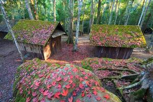 folha de bordo vermelho com escola política e militar no parque nacional de phu hin rong kla, tailândia foto