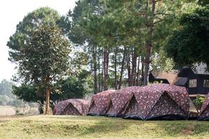 barraca de cúpula acampando no parque nacional thung salang luang phetchabun, tailândia foto