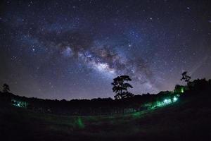 silhueta de pinheiro e via láctea no parque nacional de phu hin rong kla, phitsanulok tailândia. fotografia de longa exposição. foto