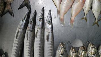 peixe fresco do mar organizado para venda por uma das tradicionais peixarias da indonésia foto