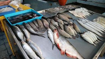 peixe fresco do mar organizado para venda por uma das tradicionais peixarias da indonésia foto