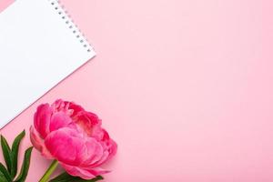 linda flor de peônia rosa e notebook com espaço de cópia para o seu texto em fundo rosa pastel foto