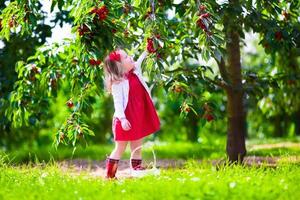 menina bonitinha escolhendo bagas de cereja frescas no jardim