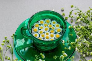 margarida em uma xícara verde com um pires cercado por flores. verão, quente. bela foto