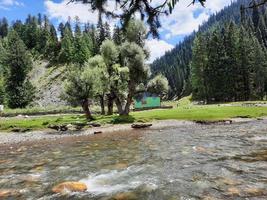 caxemira, paquistão, agosto de 2022 - a caxemira é a região mais bonita do mundo, famosa por seus vales verdes, belas árvores, altas montanhas e nascentes. foto