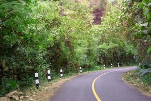 estrada na floresta com guarda de segurança foto