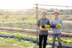 belo retrato jovem dois homens colheita e pegando horta orgânica fresca na cesta na fazenda hidropônica, agricultura para alimentação saudável e conceito de empresário de negócios. foto
