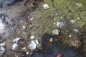 poluição ambiental encontrada em um lago onde as pessoas jogavam seu lixo. foto