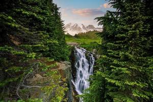 paisagem do parque nacional do monte rainier nos eua foto