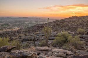 vista da fênix com cacto saguaro foto