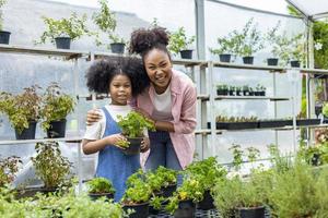 retrato de mãe e filha africanas está escolhendo salsa da seção de plantas de vegetais e ervas no berçário do centro de jardinagem local para jardinagem de fim de semana e conceito ao ar livre foto