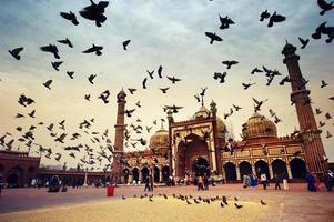 Mesquita Jama Masjid, Old Delhi, Índia. foto