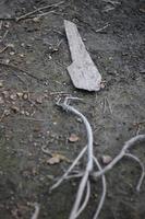 terra seca e rachada devido ao clima quente e à seca, solo de húmus fértil no campo de terras agrícolas, textura de perto. foto