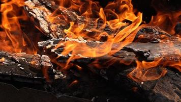 queima de lenha de perto. madeiras de churrasco, fogo de chamas, brasas de cinzas queimando ao ar livre. fumaça subindo de toras de madeira queimadas, chamas alaranjadas de fogueira. foto