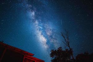 fundo da via láctea de cena noturna, árvores contra o céu à noite foto