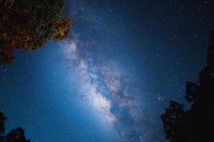 fundo da via láctea de cena noturna, árvores contra o céu à noite foto