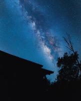 fundo da via láctea de cena noturna, árvores contra o céu à noite foto