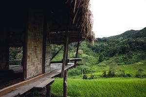 campo de arroz verde na cabana com terraço e fazenda foto