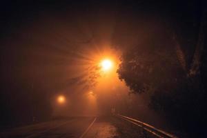 nevoeiro na estrada à noite e laranjeiras foto