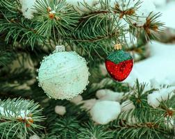 decorações de natal bola branca e morangos penduram em um galho coberto de neve de uma árvore de natal em um fundo festivo de neve branca bokeh foto