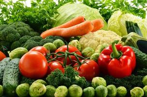 legumes orgânicos crus variados