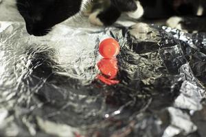 tampa vermelha repousa sobre papel alumínio e passadeiras. reflexão do objeto na camada de metal. foto