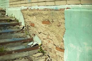 passos destruídos. escadas foram escavadas. edifício velho. fachada em ruínas da casa. foto