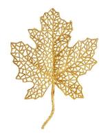 esqueleto de plástico dourado de folha natural isolado foto
