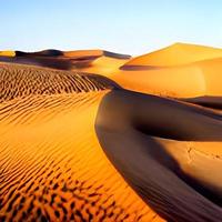 dunas de areia no deserto do saara foto