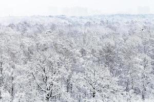 vista aérea do parque urbano coberto de neve no inverno foto