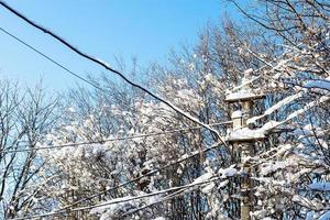 galhos de árvores e poste de concreto cobertos de neve foto