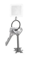 chaves de aço no chaveiro com chaveiro em branco isolado foto