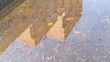 poça com folhas caídas e reflexo da casa foto