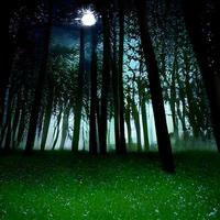 uma paisagem noturna mágica com uma floresta de fantasia, árvores escuras, uma lua com raios de luz, céu, nuvens. foto