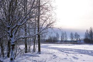 paisagem de inverno - neve branca com vestígios de sapatos e esquis no campo. a pista de esqui e a estrada contornando a floresta com árvores nuas, sol suave. foto