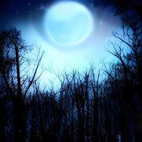 fantasia e paisagem mágica de conto de fadas encantado com floresta, fabuloso fundo misterioso de conto de fadas, raio de lua brilhante na noite escura foto