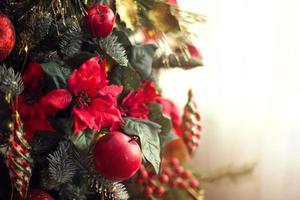 decoração vermelha em uma árvore de natal feita de maçãs e poinsétias. fundo de natal e moldura para o ano novo. close-up, abeto festivo com bagas, pingentes, guirlandas. espaço para texto foto