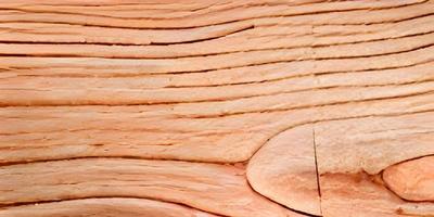 textura de madeira. fundo de textura de madeira compensada foto
