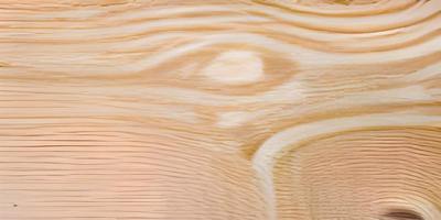 textura de madeira. fundo de textura de madeira compensada foto