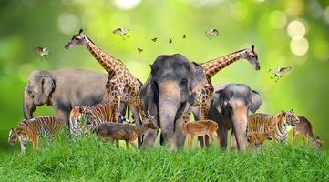 dia mundial dos animais dia mundial da vida selvagem grupos de animais selvagens foram reunidos nas mãos das pessoas foto