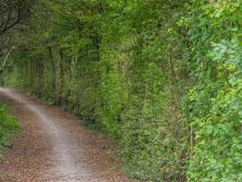 caminhada no baumberge alemão foto