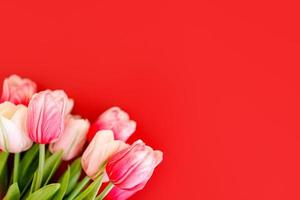 buquê de flores de tulipas cor de rosa em fundo rosa pastel foto